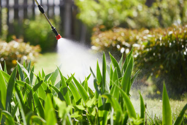 24/7 Emergency Mosquito Control experts in Lehi, UT