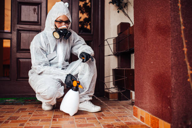 Reliable Mosquito Control contractor in Lehi, UT by Show Me Pest Control